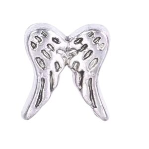 Charm Asas de Anjo
