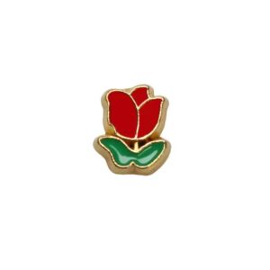 Charm Rosa