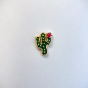 Charm Cacto
