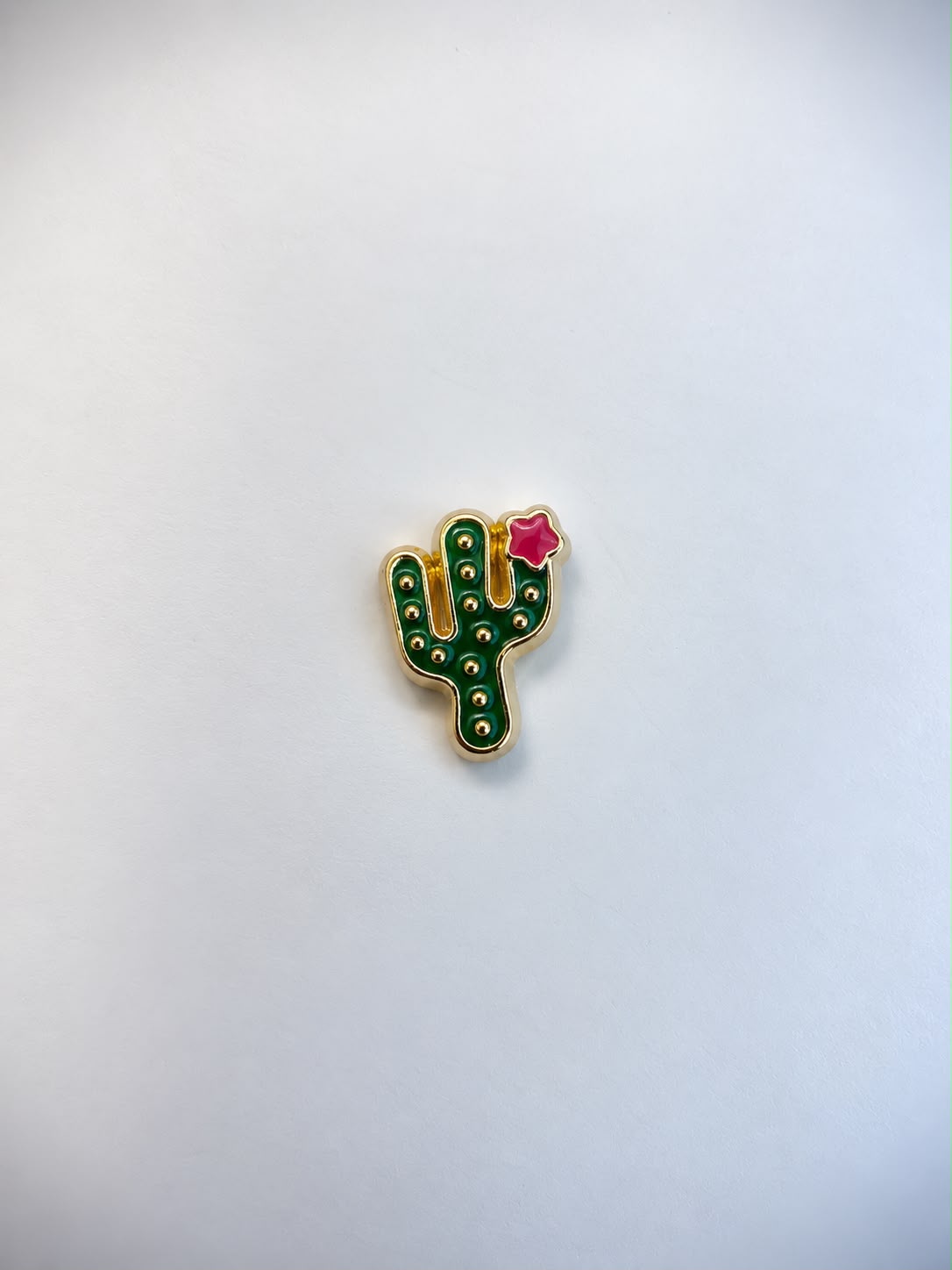 Charm Cacto