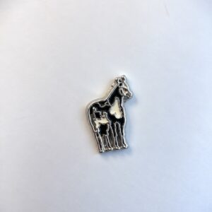 Charm Cavalo
