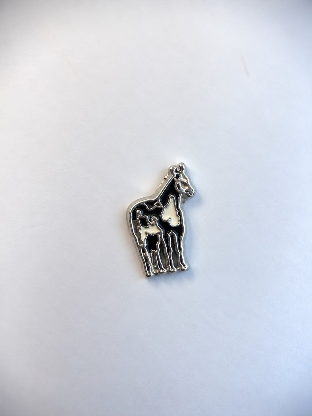 Charm Cavalo